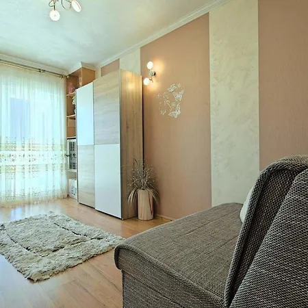 Viki, Sani, Evan, Teo, Goran Apartamento